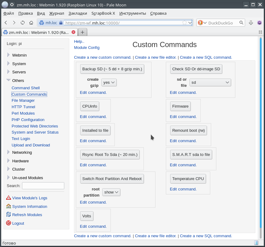 Страница "Custom Commands"